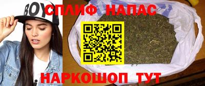 a pvp Кингисепп