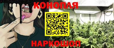 Альфа ПВП Кимры