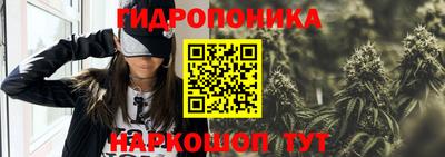 Альфа ПВП Кимры