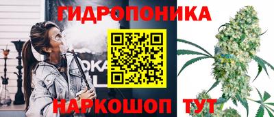 a pvp Кингисепп
