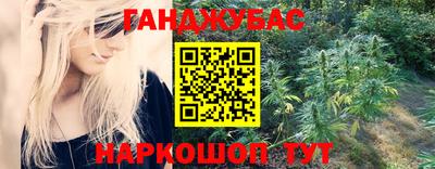 индика Ставрополь