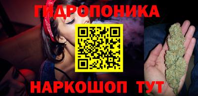 Альфа ПВП Кимры