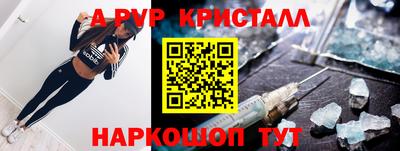 a pvp Кингисепп