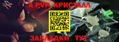 a pvp Кингисепп