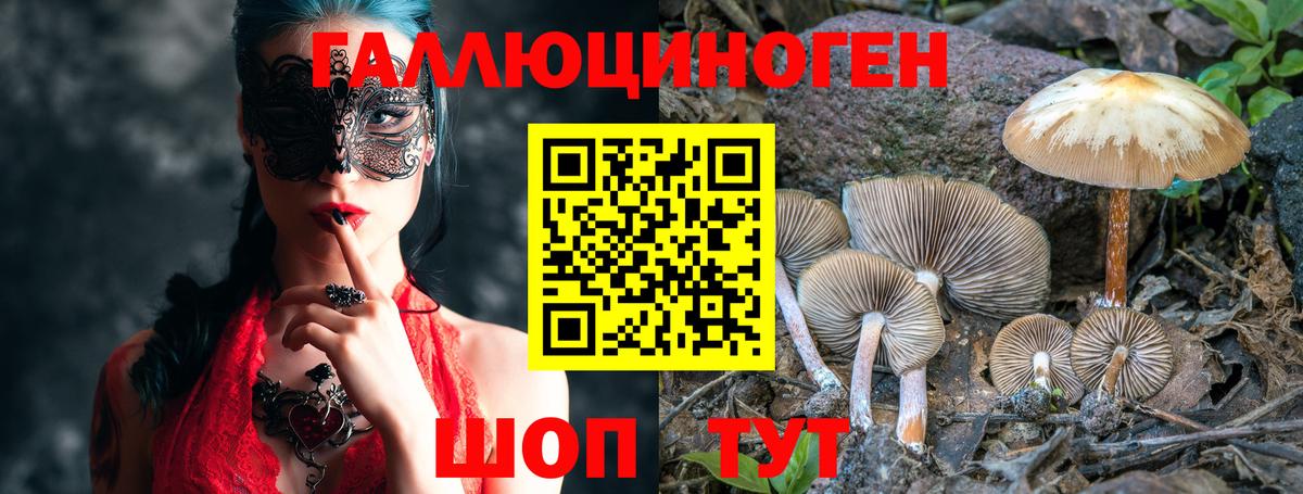 Псилоцибиновые грибы прущие грибы Кузнецк