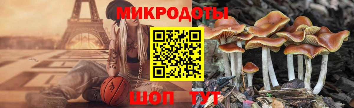 Кузнецк  Галлюциногенные грибы Psilocybine cubensis  Вход с VPN 